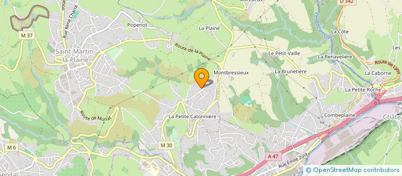 localisation de l'entreprise G-TEKOPTIC à SAINT-MARTIN-LA-PLAINE