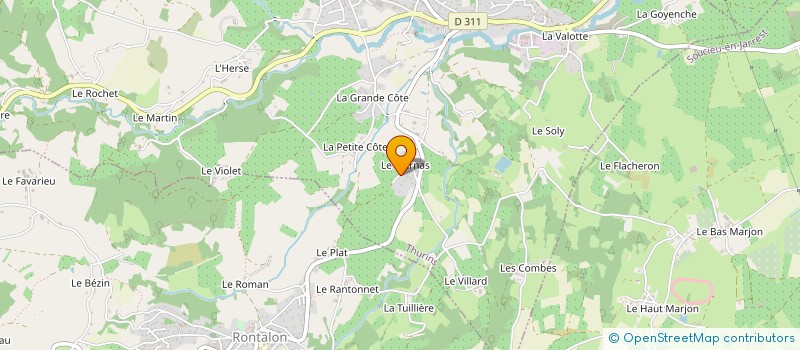 localisation de l'entreprise G2TP  THURINS