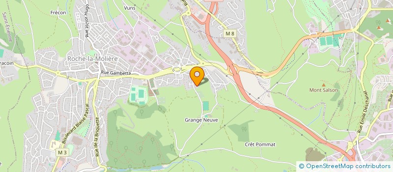 localisation de l'entreprise GAEC DE L'EGOTAY  ROCHE-LA-MOLIERE