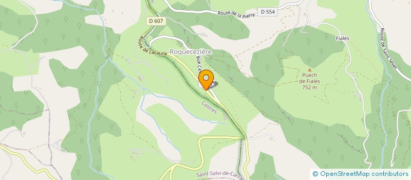 localisation de l'entreprise GAEC DE LA FROMENTIERE  BALAGUIER-SUR-RANCE