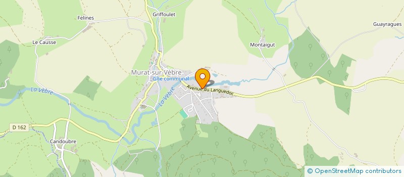 localisation de l'entreprise GAEC DE LA PLANO à MURAT-SUR-VEBRE