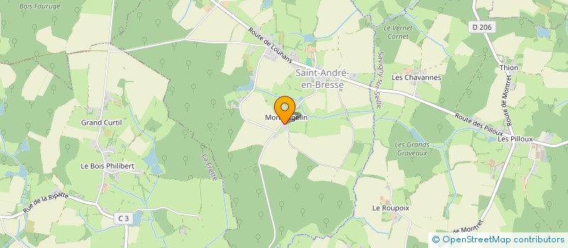 localisation de l'entreprise GAEC DE MONTANGELIN à SAINT-ANDRE-EN-BRESSE