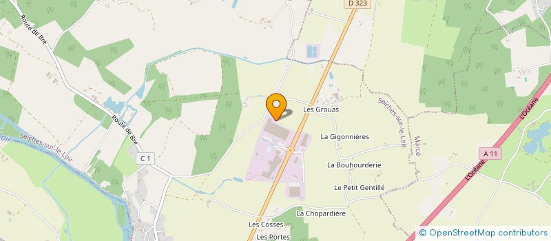localisation de l'entreprise GAEC DE PRIGNES à SEICHES-SUR-LE-LOIR