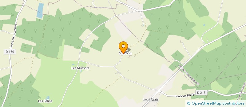 localisation de l'entreprise GAEC DE SOUCHON  TANNERRE EN PUISAYE