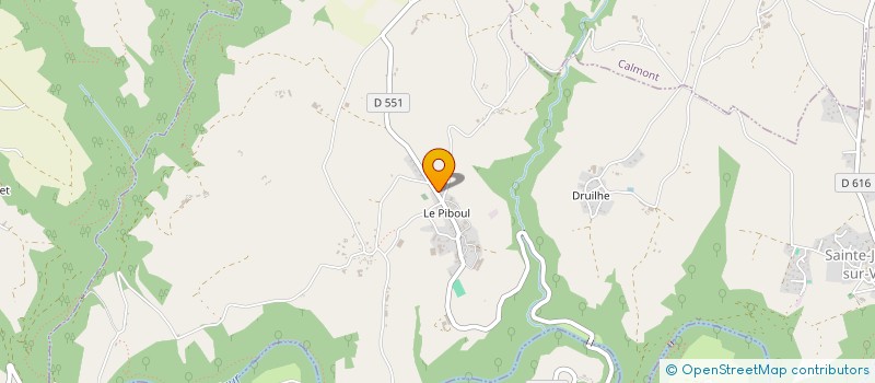 localisation de l'entreprise GAEC DELPOUX à SAINTE-JULIETTE-SUR-VIAUR