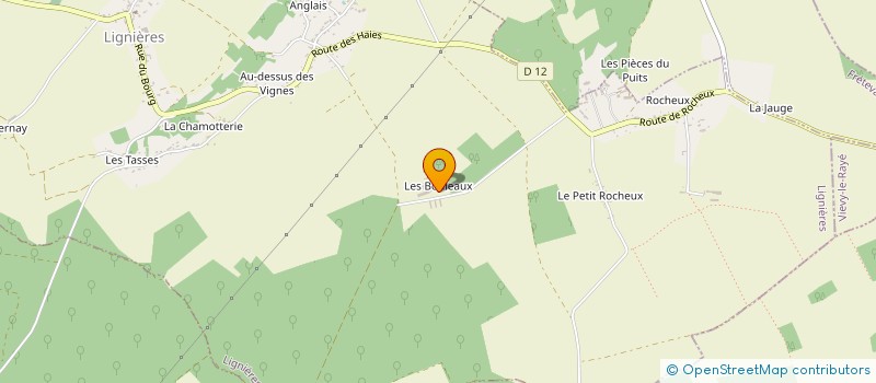 localisation de l'entreprise GAEC DES BOULEAUX à LIGNIERES