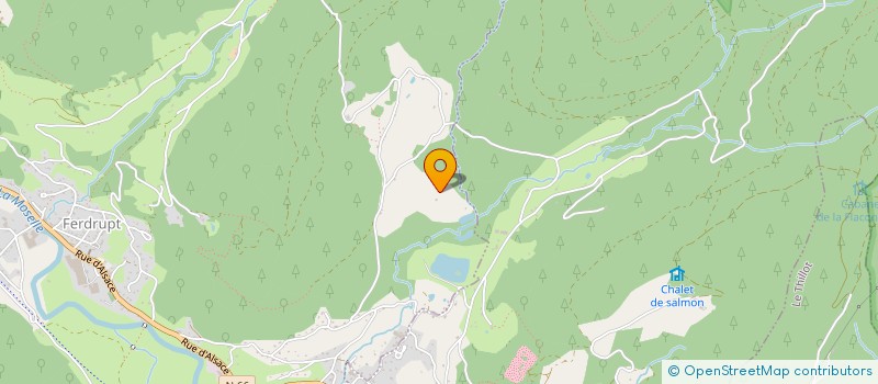 localisation de l'entreprise GAEC LE RUCHER DE LA COLLINE VOSGIENNE  FERDRUPT