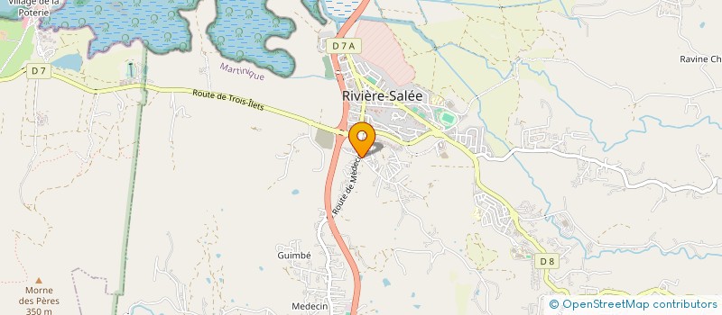 localisation de l'entreprise GAIACS BATIMENTS ET TRAVAUX PUBLICS à RIVIERE-SALEE