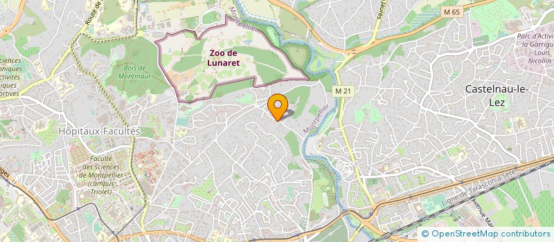 localisation de l'entreprise GALERIE ART PASSION à MONTPELLIER