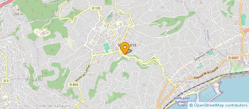 localisation de l'entreprise GALERIE D'ART ARCADIS  VALLAURIS