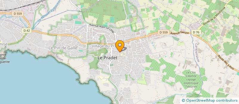 localisation de l'entreprise GALOISY  LE PRADET