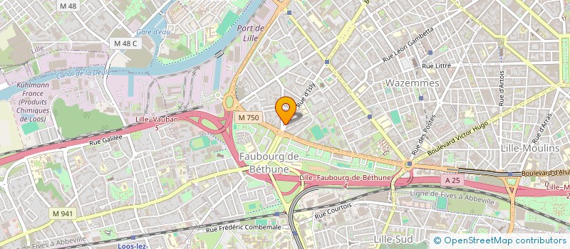 localisation de l'entreprise GANESH AFRO à LILLE