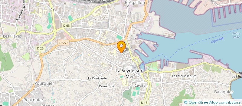 localisation de l'entreprise GARAGE 2000 à LA SEYNE-SUR-MER