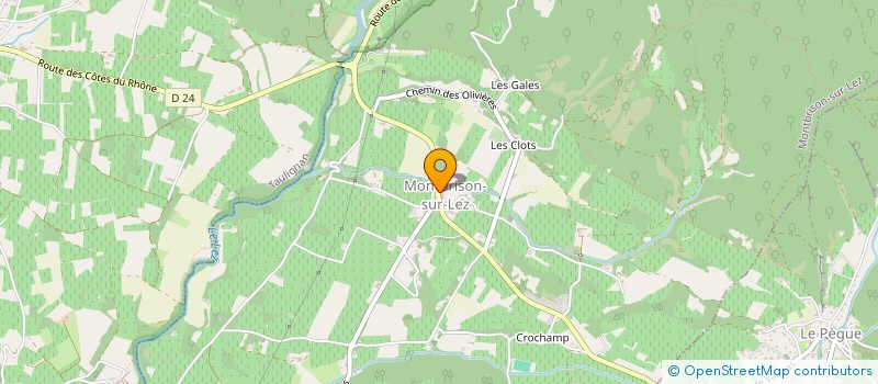 localisation de l'entreprise GARAGE 2S AUTO  MONTBRISON-SUR-LEZ