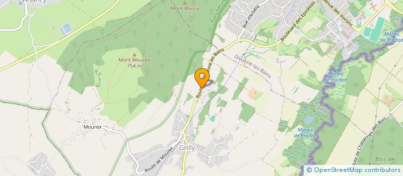 localisation de l'entreprise GARAGE AP MOTORS  GRILLY