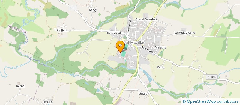 localisation de l'entreprise GARAGE AUTO PASSION  ARZAL