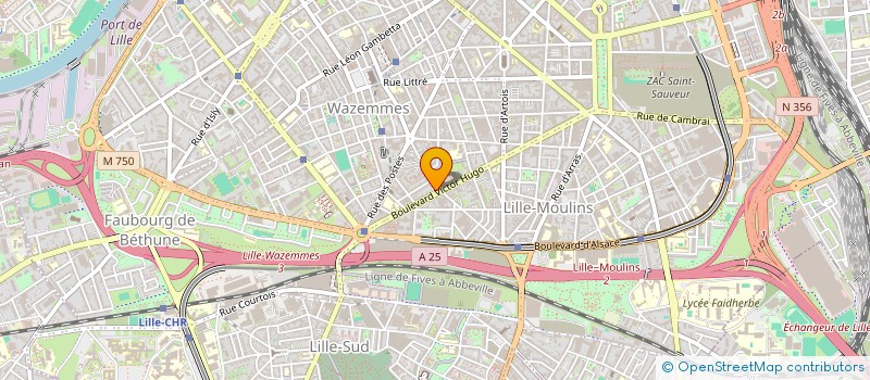 localisation de l'entreprise GARAGE AVENIR ESPOIR à LILLE