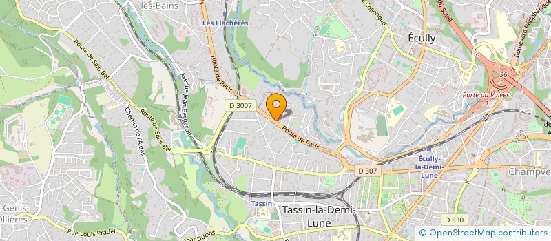 localisation de l'entreprise GARAGE BESSON à TASSIN-LA-DEMI-LUNE
