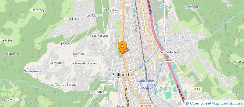 localisation de l'entreprise GARAGE DE GENEVE à SCIONZIER