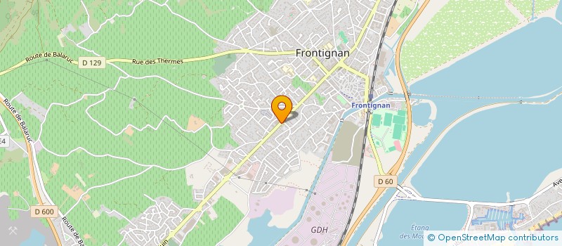 localisation de l'entreprise GARAGE DE L ETANG DE LA PEYRADE à FRONTIGNAN