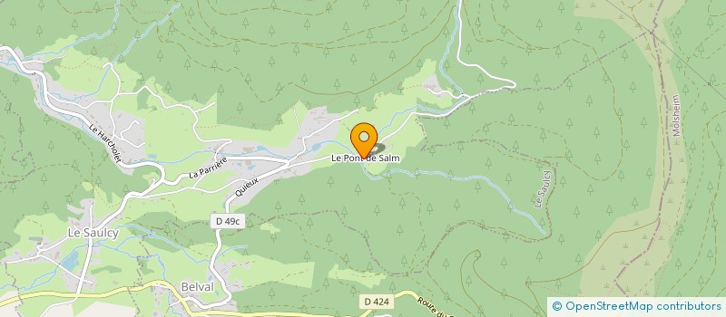 localisation de l'entreprise GARAGE DE LA PRINCIPAUTE  SENONES