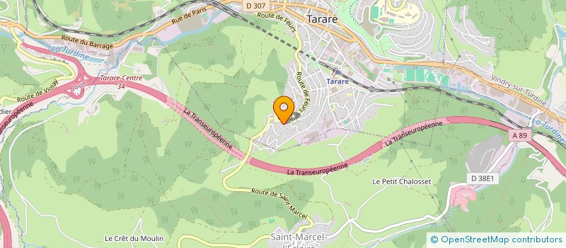 localisation de l'entreprise GARAGE DE LA TURDINE  TARARE