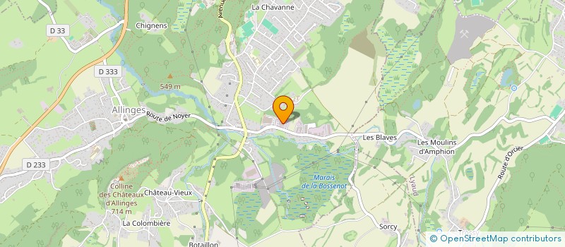 localisation de l'entreprise GARAGE DES BLAVES  ALLINGES