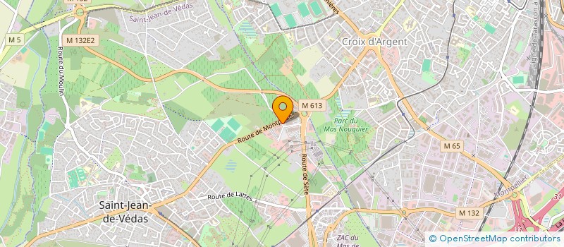 localisation de l'entreprise GARAGE DU RIEUCOULON  SAINT-JEAN-DE-VEDAS