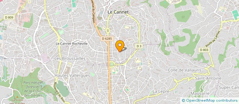 localisation de l'entreprise GARAGE FORMULE 1 à LE CANNET