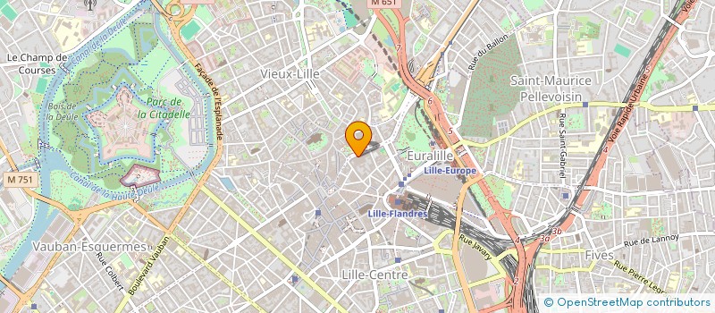 localisation de l'entreprise GARAGE LES MANAGERS à LILLE