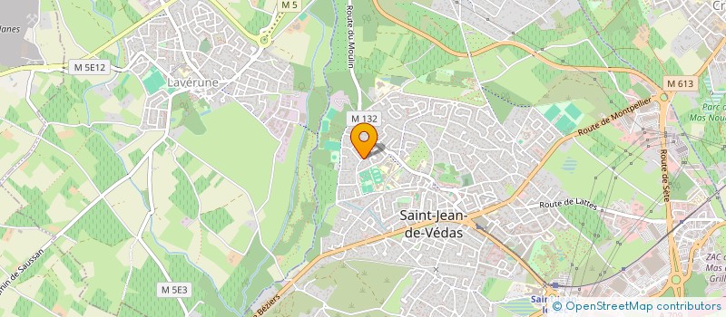 localisation de l'entreprise GARAGE LIBRE à SAINT-JEAN-DE-VEDAS