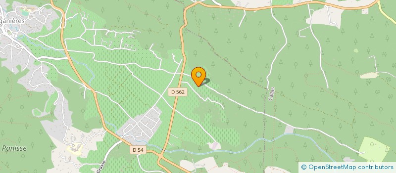 localisation de l'entreprise GARAGE PITTALIS  FIGANIERES