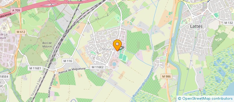 localisation de l'entreprise GARAGE TOP SERVICE à LATTES