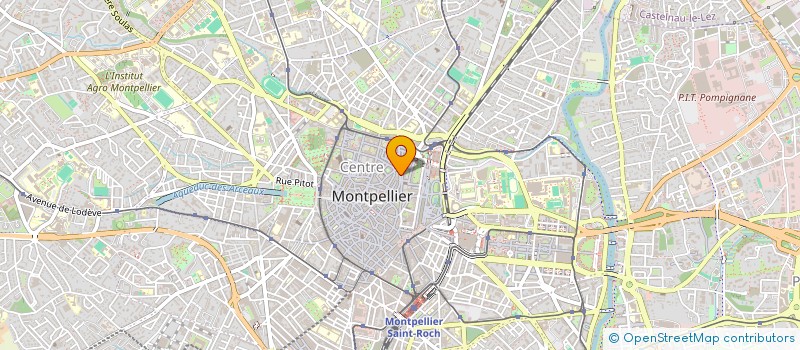 localisation de l'entreprise GARUDA MAISON DE L'INDONESIE à MONTPELLIER