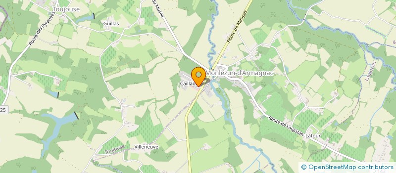localisation de l'entreprise GASCOGNE SOLUTIONS à TOUJOUSE