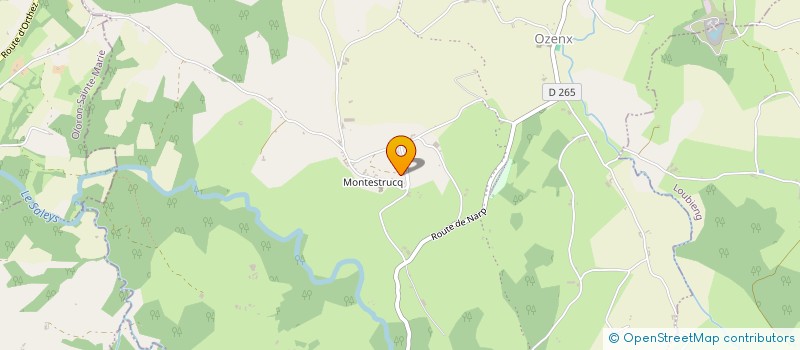 localisation de l'entreprise GASNIER REGIS à OZENX-MONTESTRUCQ