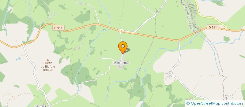 localisation de l'entreprise GAYRAUD  VEZINS-DE-LEVEZOU