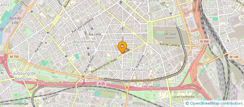 localisation de l'entreprise GAZ MAZOUT SERVICE à LILLE