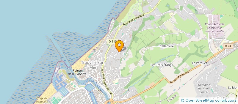 localisation de l'entreprise GB OSTHEO THERAPIE EQUINE  TROUVILLE-SUR-MER