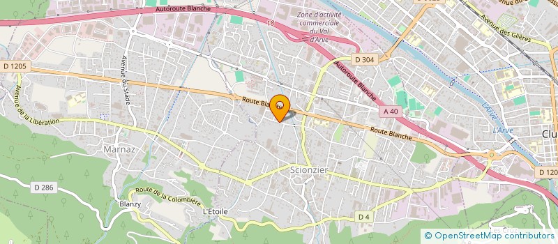 localisation de l'entreprise GENESONI FRANCK  SCIONZIER