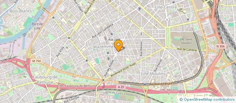 localisation de l'entreprise GENEVIEVE MICHEL SARRAF & FILS à LILLE