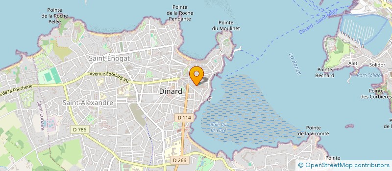 localisation de l'entreprise GENIUS GAMBLER SAS  DINARD