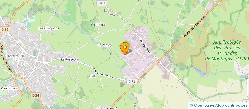 localisation de l'entreprise GENSOLLEN POLYESTER  MORNANT