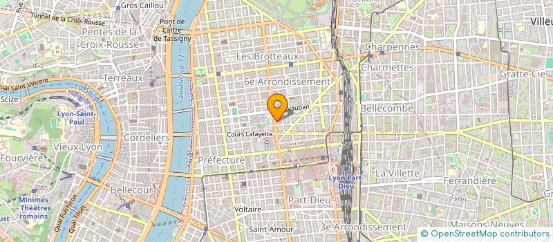 localisation de l'entreprise GEORGES  LYON