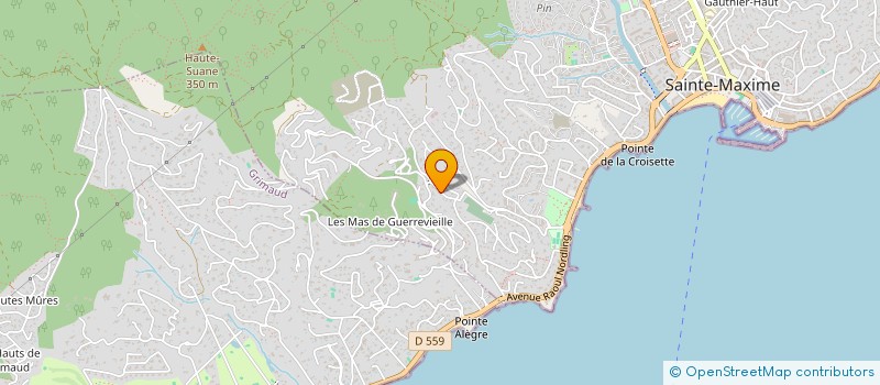 localisation de l'entreprise GEORSYLAUR à SAINTE-MAXIME
