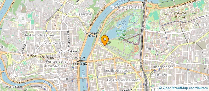 localisation de l'entreprise GERARD RIGOUDY EXPERTISES à LYON