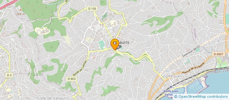 localisation de l'entreprise GEROLUC à VALLAURIS