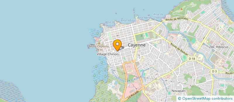 localisation de l'entreprise GESTIDOM à CAYENNE