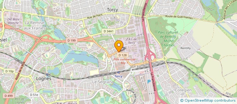 localisation de l'entreprise GESTION DES TECHNIQUES D'INGENIERIE ET DE FORMATION  SAINT-PIERRE-DES-CORPS