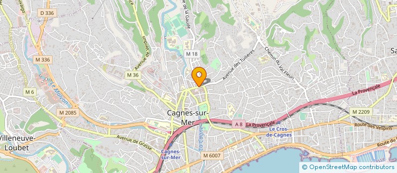 localisation de l'entreprise GESTION FOR YOU à CAGNES-SUR-MER